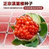 谭永成的一亩田店铺