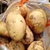 围场广拓薯菜种植销售代办的一亩田店铺