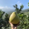 匠山设计（漳州）有限公司的一亩田店铺