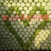 河北定州万亩蔬菜的一亩田店铺