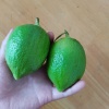 肖浩文的一亩田店铺