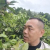 代述兵的一亩田店铺