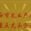 李园园的一亩田店铺