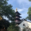 甜美果业的一亩田店铺
