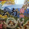 铄金商贸有限公司的一亩田店铺