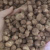 彭彰镇的一亩田店铺