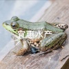 宜惠水产合作社的一亩田店铺