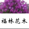 广东省清远市清新区龙颈镇福林花木场的一亩田店铺
