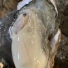李扶田的一亩田店铺