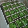 万里行农贸有限公司。的一亩田店铺