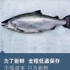 陈杰毫的一亩田店铺