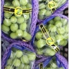 饶阳县吕汉村蔬菜瓜果合作社的一亩田店铺