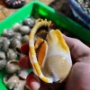 北海臻鲜美食品有限公司的一亩田店铺