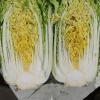 李明的一亩田店铺