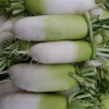 杨军的一亩田店铺