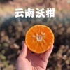谢俊明的一亩田店铺
