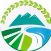 青枫逸景园林绿化工程有限公司的一亩田店铺
