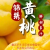 重庆市永川区金秋榴园生态农业有限公司的一亩田店铺