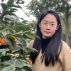 李雪的一亩田店铺