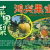 王宏平的一亩田店铺