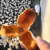 新盛宝陈皮加工场的一亩田店铺