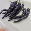 靓绿果蔬的一亩田店铺