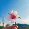 何林燕的一亩田店铺
