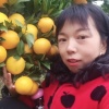 维娜水果店的一亩田店铺