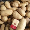 乳山金豆农资处的一亩田店铺