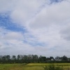 陈帅的一亩田店铺