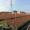 尹显能的一亩田店铺