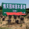 博天园林绿化工程有限公司的一亩田店铺
