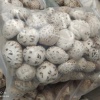 武举食用菌批发的一亩田店铺