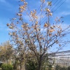 鹏腾辉咨询服务有限公司的一亩田店铺