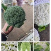 丽飞蔬菜批发的一亩田店铺