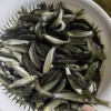 蒙东萍的一亩田店铺