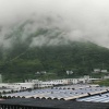 顾桃的一亩田店铺