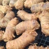品全种植养殖专业合作社的一亩田店铺