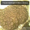 江晶农业科技有限公司的一亩田店铺