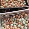 陈锟的一亩田店铺
