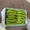 孙凯的一亩田店铺
