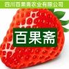 钟伟的一亩田店铺