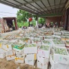 吴小晴的一亩田店铺