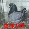 孙爱霞的一亩田店铺