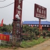 南阳常春月季苗木繁育基地的一亩田店铺