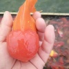 彭培锋的一亩田店铺