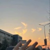 张意辉的一亩田店铺