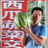 随建武的一亩田店铺