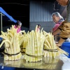 李金鹏的一亩田店铺