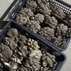 杜新全的一亩田店铺